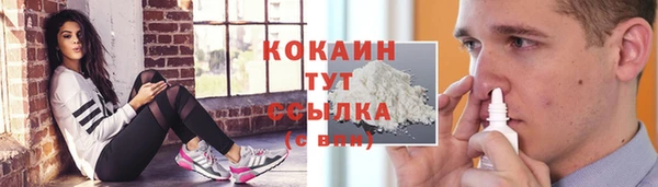 стаф Верея