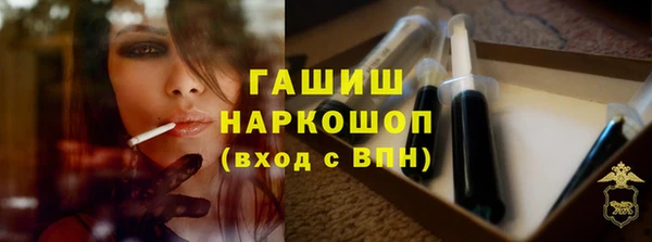 стаф Верея
