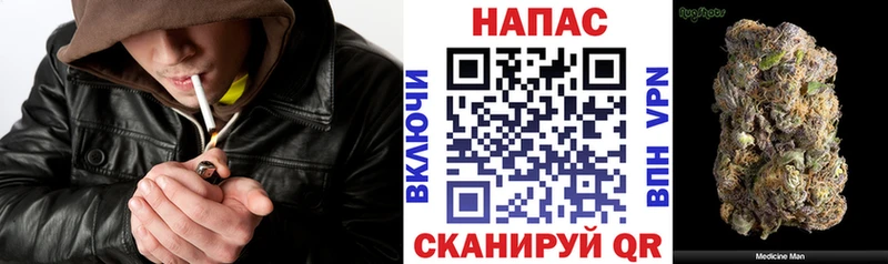 Бошки Шишки семена  Купить где  Приморск 